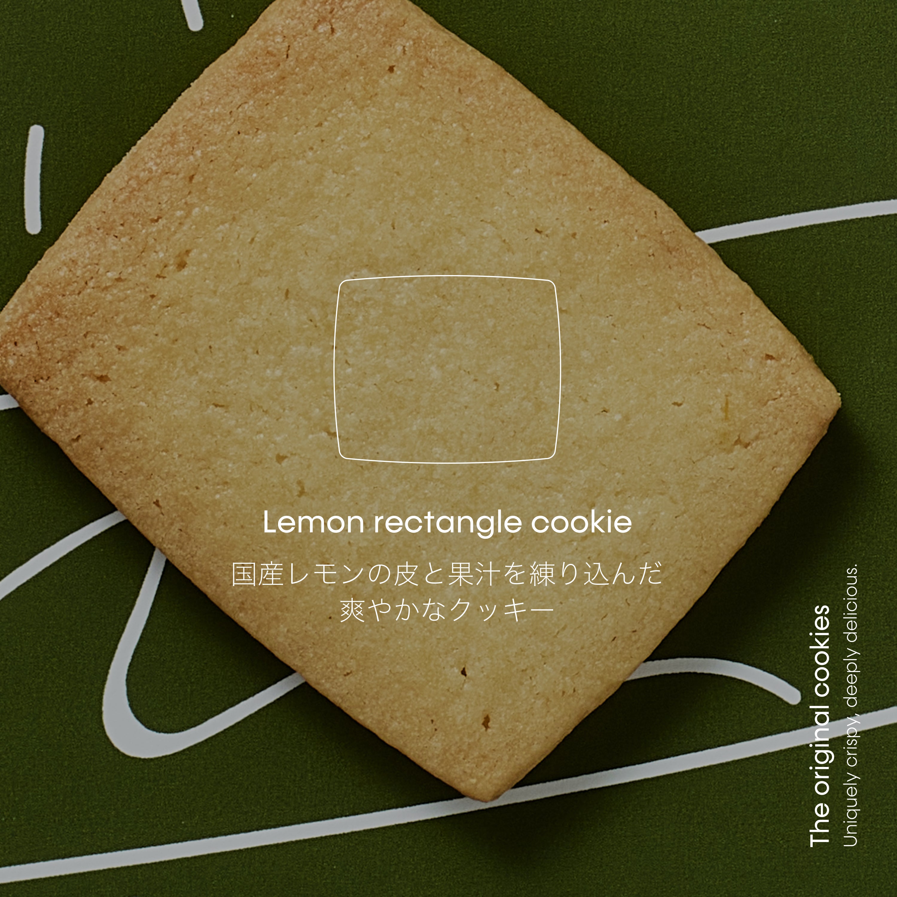 【Japan only】STUDIO THE BLUE BOY - The original cookies